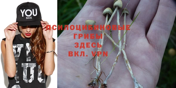 твердый Покачи